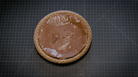 uga pi day GIF by University of Georgia