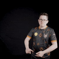 Esports Ulm GIF by TeamOrangeGaming
