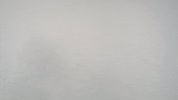 ommhdm face why slap dump GIF