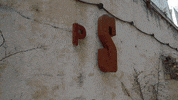 Contemporary Art GIF