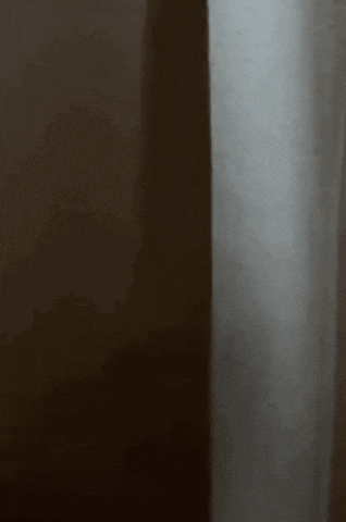 Cat Peek GIF by bartek ujma