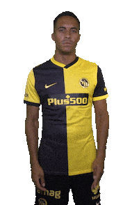 Rubbing Marvin Spielmann Sticker by BSC Young Boys