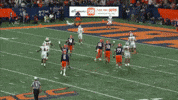 Syracuse University Su GIF by TheDreamTeam 