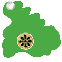 Putting Hole In One Sticker by North Coast Authentic