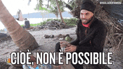 jonathan isola13 GIF by Isola dei Famosi