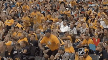 ice hockey GIF by NHL