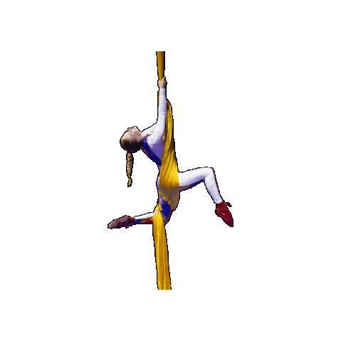 Circus Silks Sticker by Ringling Bros. and Barnum & Bailey
