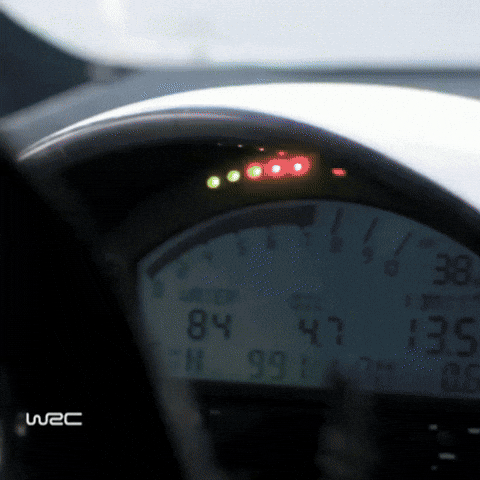 Driving Ford GIF by FIA World Rally Championship