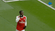 Celebration Reaction GIF by MolaTV