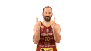 Sport Koripallo Sticker by Basket_fi