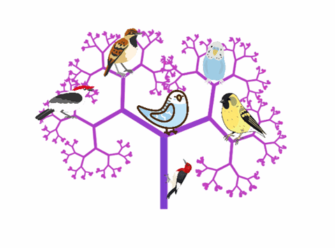 dogtrax giphygifmaker giphyattribution ds106 GIF