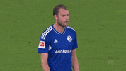 Football No GIF by FC Schalke 04