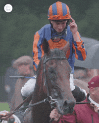 Celebrate Ryan Moore GIF by World Horse Racing