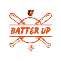 Batter Up Baseball Sticker by autumnlakehealthcare