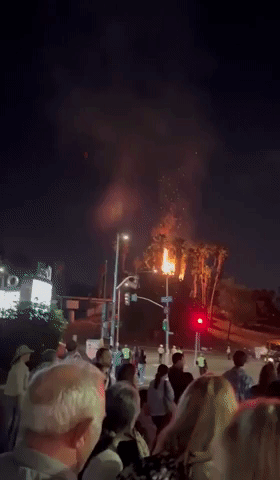 Crowd Watches as Palm Trees Burn Outside Hollywood Bowl