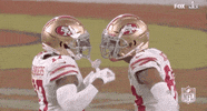 Super Bowl Football GIF by NFL