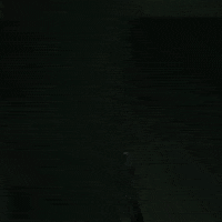 Aktiesport aktie aktiesport GIF