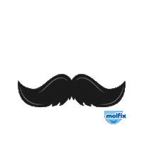 celebrating my baby Sticker by Molfix