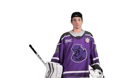 Hockey Save Sticker by Youngstown Phantoms