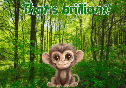 Monkey Expressions GIF