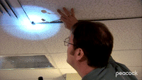 Dwight Finds a Bat in the Office