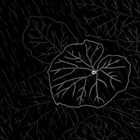 Rainy Day Fall GIF
