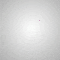 Socialverseapp crypto tiktok watch social GIF