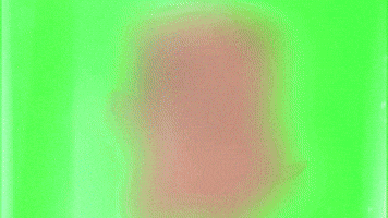 BigBrainTwin - Cloning Lab