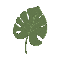 Plant Leaves Sticker by artnis