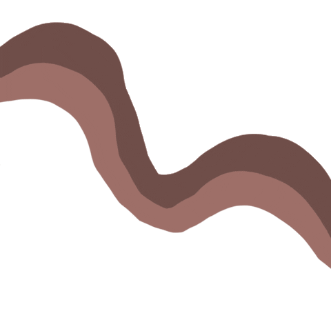 Rainbow Wave Sticker