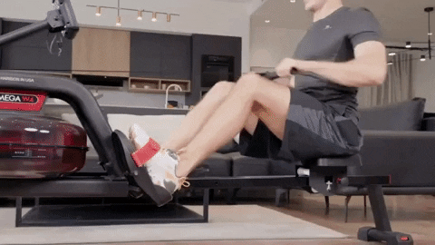 HARISONFITNESS giphygifmaker rowing machine harison harison fitness GIF