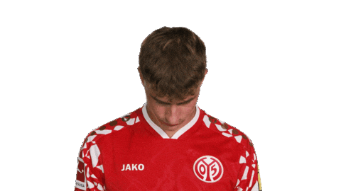 Look Up Mainz 05 Sticker by Bundesliga