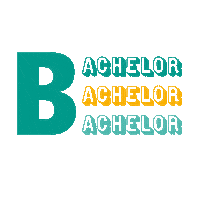 Bachelor Fom Sticker by fomhochschule