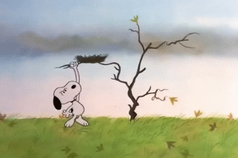 charlie brown thanksgiving GIF by Peanuts