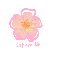 Japan Sakura Sticker