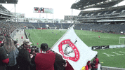 the trench red river rising GIF