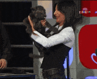 Pet Panther GIF