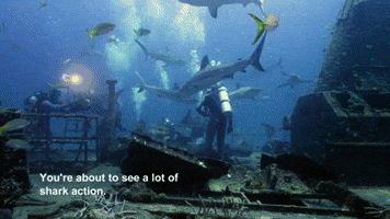 Enter The Sharknado