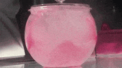kansas city pink GIF by Polyvinyl Records