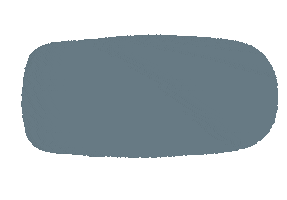 Color Circle Sticker