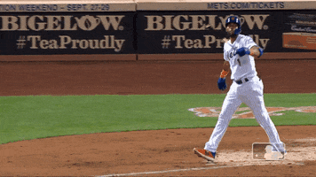 Ny Mets Sport GIF by New York Mets