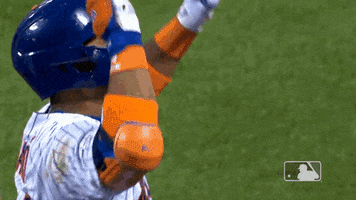 Ny Mets Reaction GIF by New York Mets