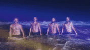 GIF by nettwerkmusic