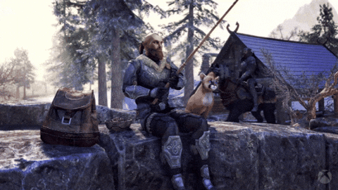 The Elder Scrolls Online Cat GIF by Xbox