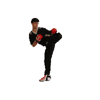 Martial Arts Sticker by Verve Taekwondo