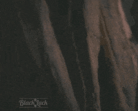 horror hello GIF by Black Luck