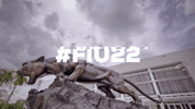 GIF by FIU