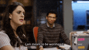 bow down season 2 GIF by Blunt Talk