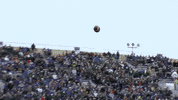 Celebrate College Football GIF by Michigan State Football