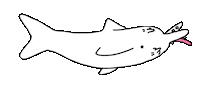 Fish Lol Sticker by sillynub